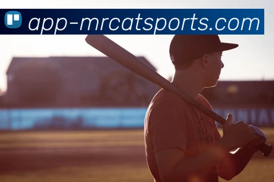 球赛投注发展历程