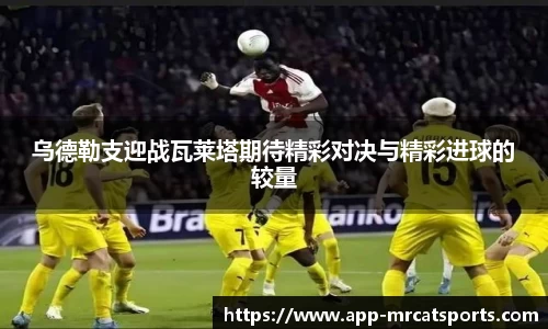 MRCAT猫先生体育平台